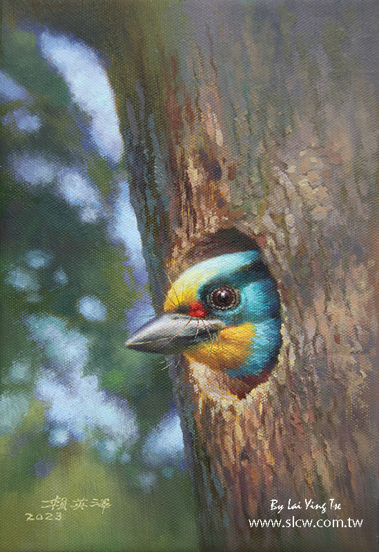 Muller's Barbet_An Elf in the Tree Hole